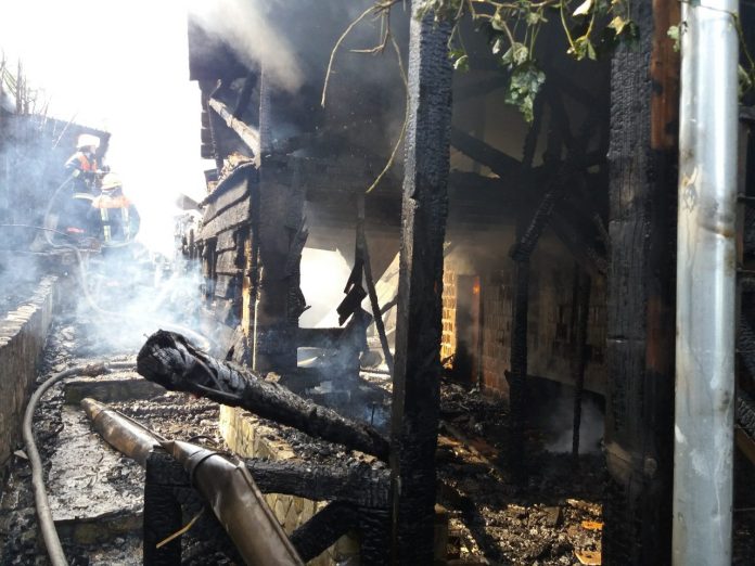 Петроварадин: Гори одгајивачница добермана